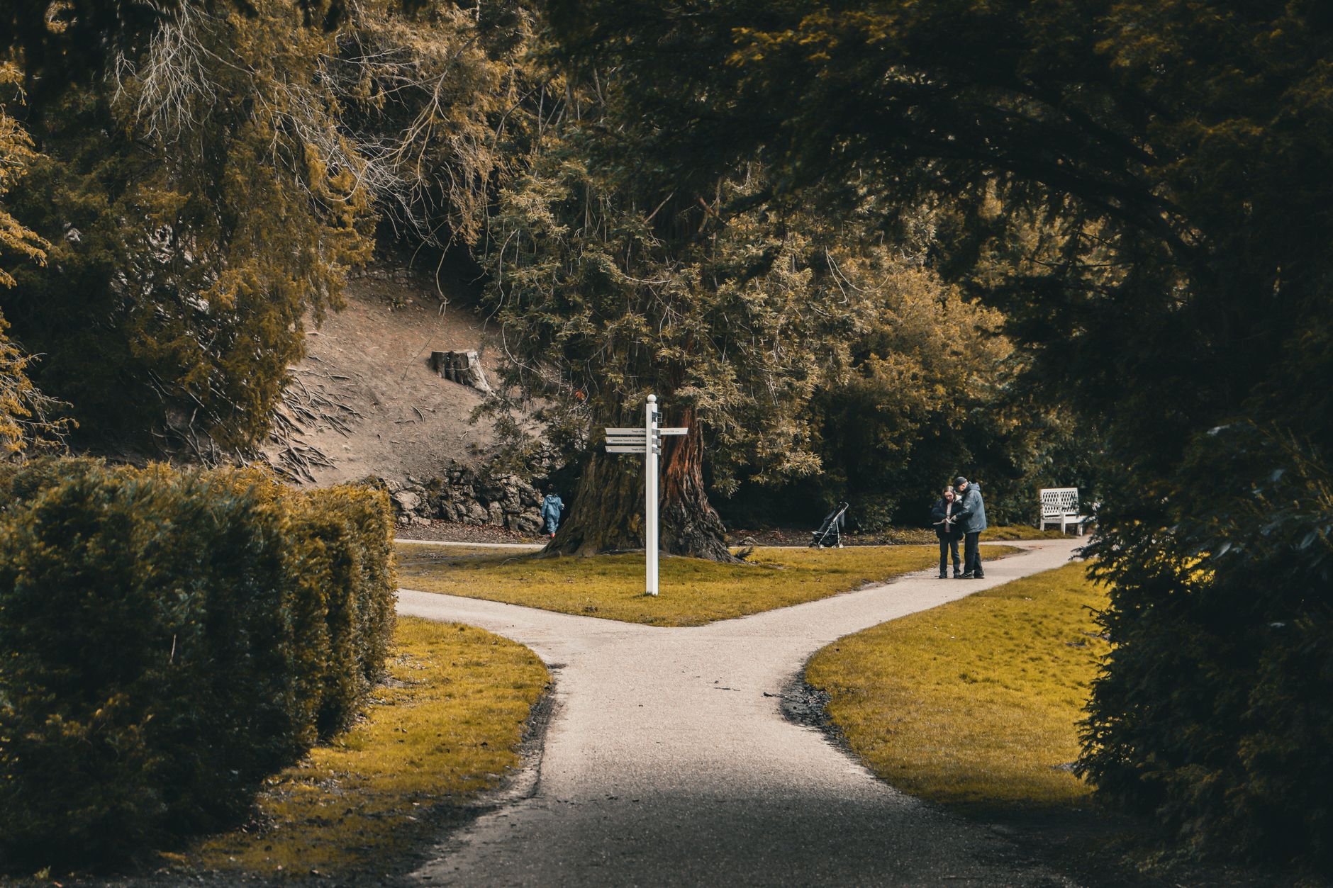 Choosing between full tort and limited tort on a Pennsylvania auto policy