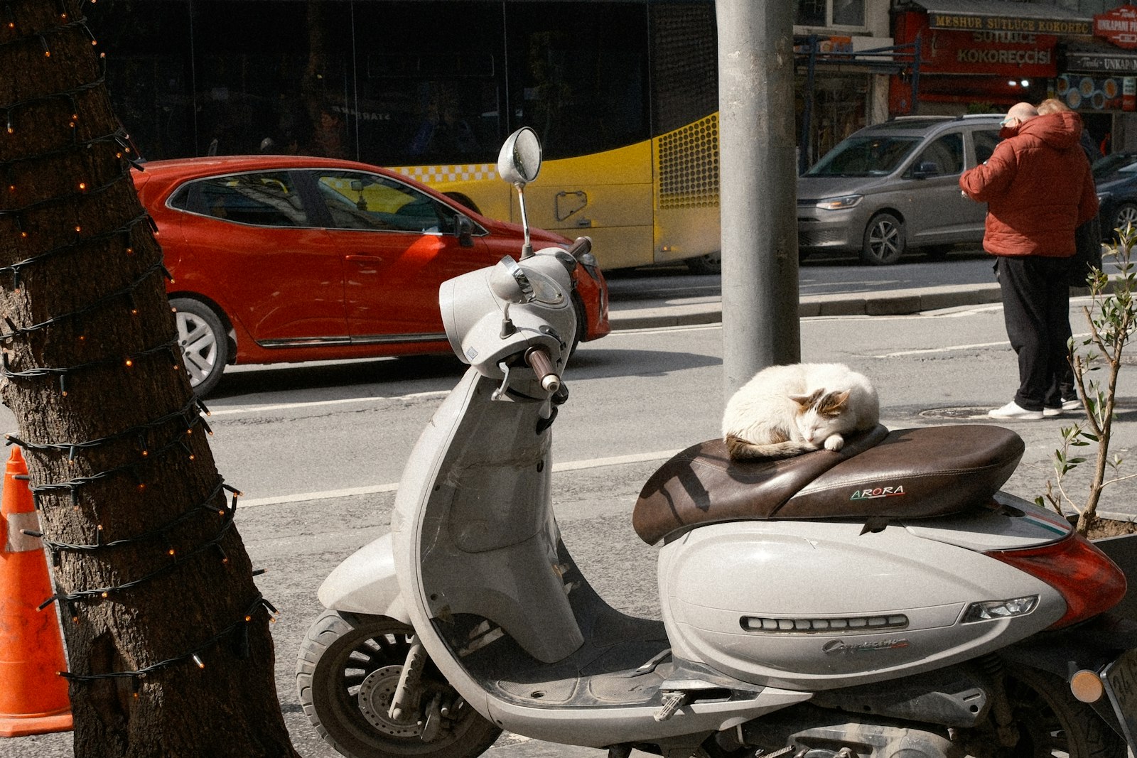 Safety equipment for scooter and moped riders