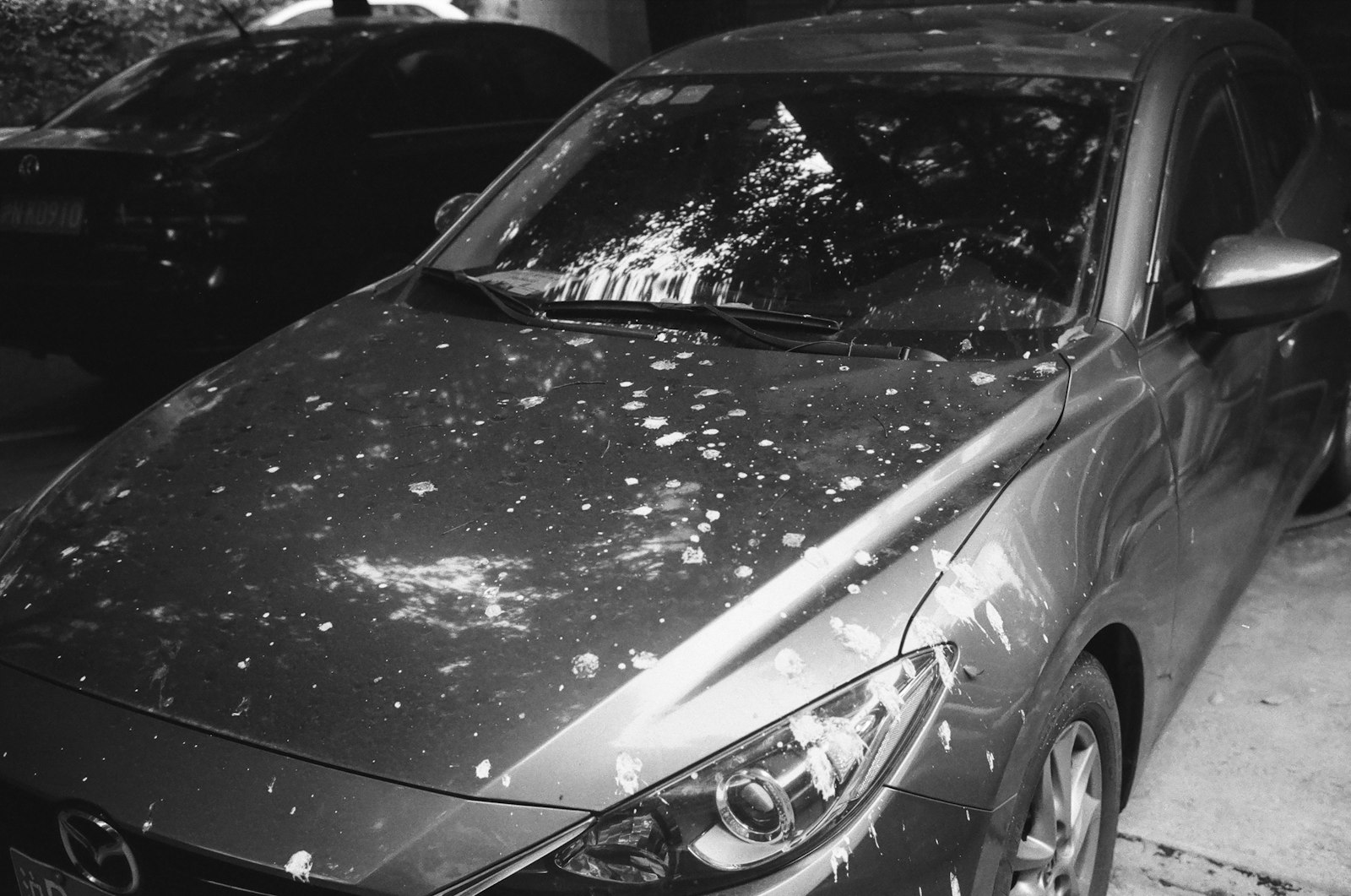 Damage covered by optional comprehensive auto insurance in Pennsylvania